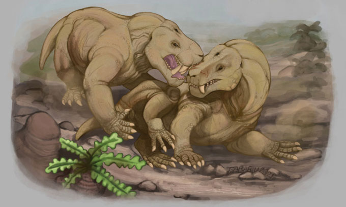 Trận chiến giữa hai quái vật răng kiếm hơn 250 triệu năm trước