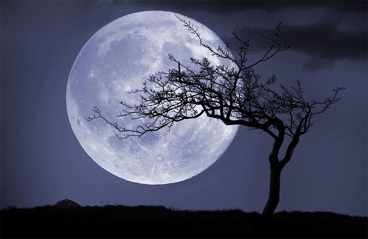 Trăng sói, trăng tuyết, trăng hồng… là trăng gì?