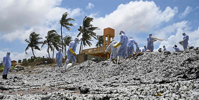 Trong tương lai, vùng biển Sri Lanka có thể sẽ chết