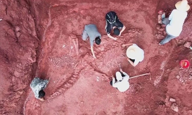 Trung Quốc phát hiện hóa thạch khủng long khổng lồ gần nguyên vẹn, cực kỳ hiếm có