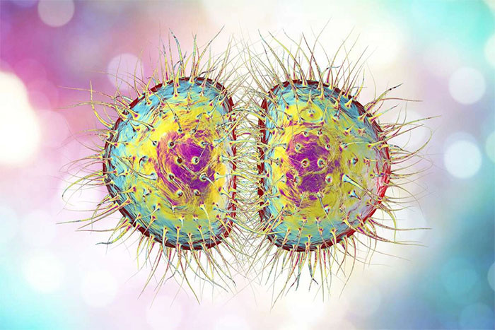 Từ thời Trung Cổ đến kỷ nguyên hậu kháng sinh: Một vòng luân hồi của bệnh lậu