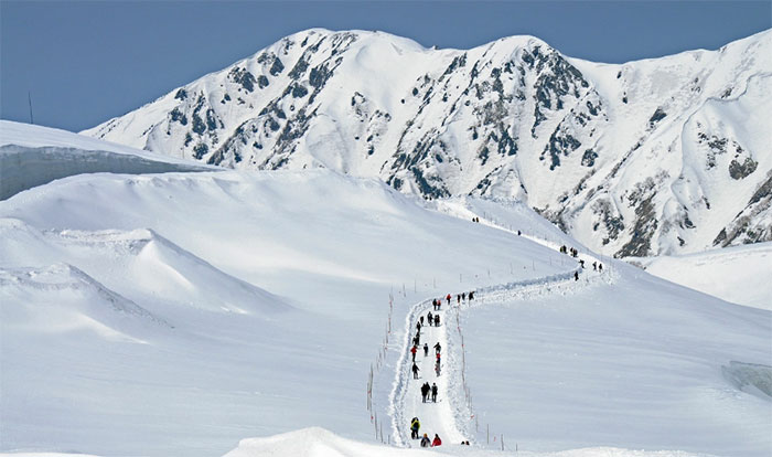 Tuyến đường phủ đầy tuyết vẽ nên đường cong tuyệt đẹp ở thị trấn du lịch nổi tiếng Nhật Bản