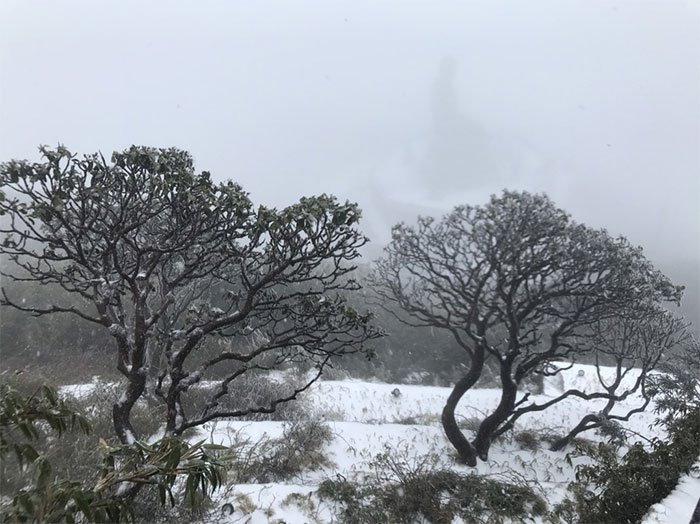 Tuyết bất ngờ rơi dày đặc trên đỉnh Fansipan