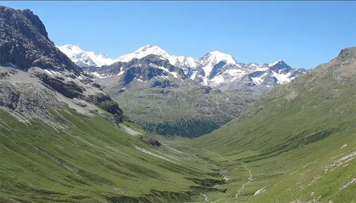 Tuyết tan chảy, đỉnh Alps đang xanh hóa mạnh mẽ