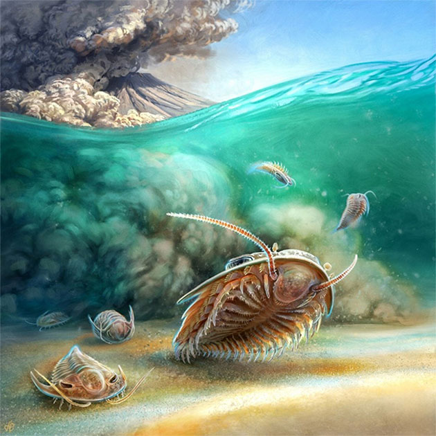 Tuyệt tích 510 triệu năm, quái vật Cambri hiện hình nguyên vẹn