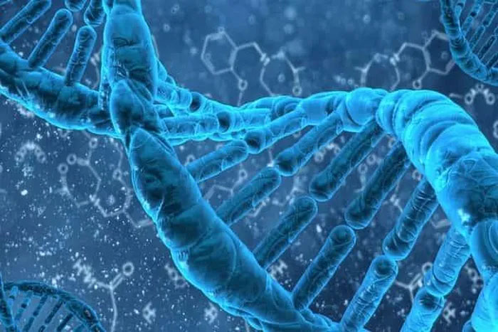 Ứng dụng của ADN trong cuộc sống thường ngày có thể nhiều người chưa biết