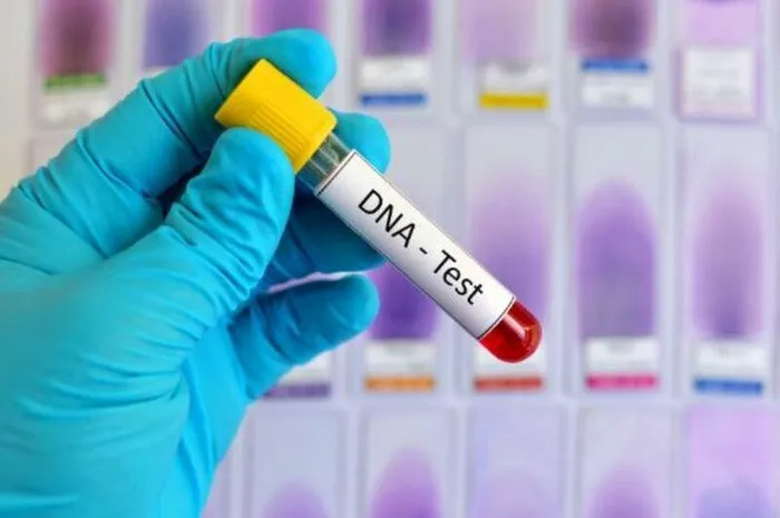 Ứng dụng của ADN trong cuộc sống thường ngày có thể nhiều người chưa biết