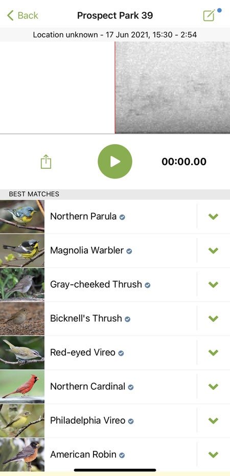 Ứng dụng Shazam cho chim nhận diện tiếng hót với độ chính xác không tưởng