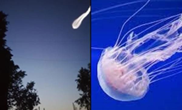 Vật thể bí ẩn hình con sứa bay vào bầu khí quyển của Trái đất khiến nhiều người lo lắng