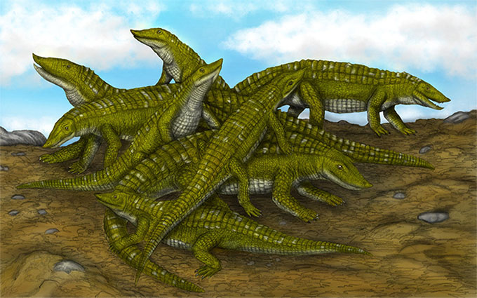 Vén màn bí ẩn khủng long lai đại bàng, cá sấu hơn 200 triệu tuổi