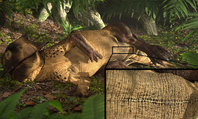Vết sẹo trên rốn khủng long cách đây 130 triệu năm khiến các nhà khoa học sửng sốt
