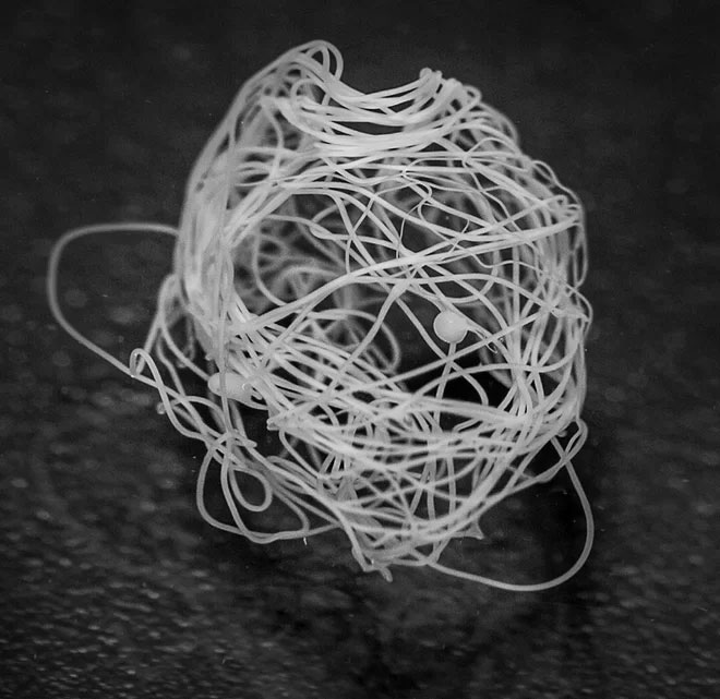 Vi khuẩn biến đổi gene có thể tạo ra loại tơ nhện siêu bền cho việc chế tạo trang phục không gian