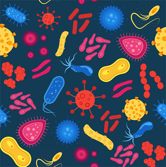 Vi khuẩn có thể di chuyển hàng ngàn dặm, bạn có biết không?