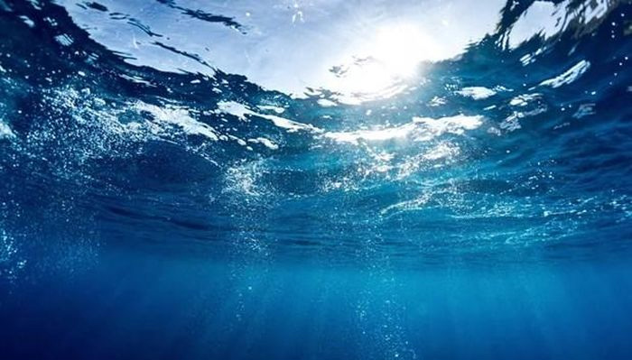 Vi khuẩn dưới nước sử dụng ăngten để thu năng lượng Mặt trời