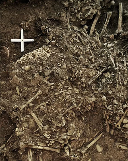 Vi khuẩn liên quan đến “cái chết đen” được tìm thấy trong mộ 5.000 năm tuổi