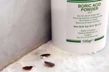 Vì sao borax (hàn the) và axit boric được dùng để diệt gián? Hai chất này có an toàn không?
