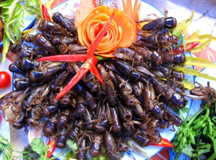 Vì sao các món từ côn trùng ngon nhưng nguy hiểm?