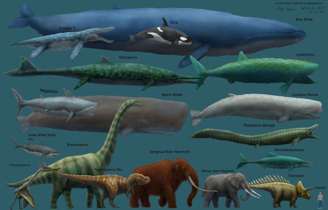 Vì sao động vật tiền sử lại to lớn gấp nhiều lần động vật ngày nay?