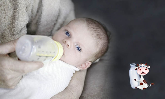 Vì sao không nên cho trẻ sơ sinh uống sữa bò?