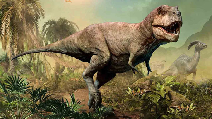 Vì sao khủng long bạo chúa có hai chi trước rất nhỏ?