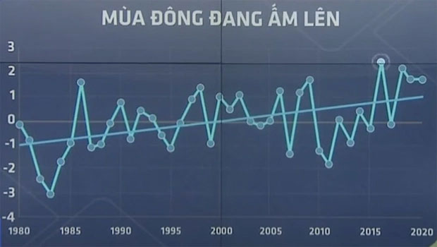 Vì sao mùa đông miền Bắc lại nóng bất thường, trái ngược dự báo?