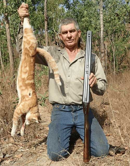 Vì sao nước Úc tràn ngập mèo hoang những vẫn bị chuột quấy phá?