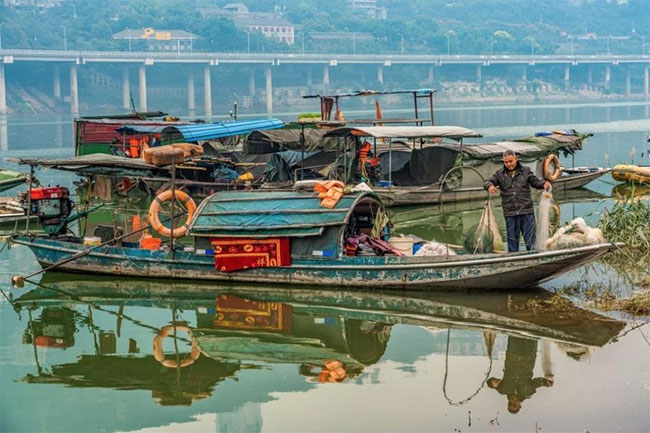 Vì sao sau khi xây xong đập Tam Hiệp, Trung Quốc phải thả vào 10.000 con cá?