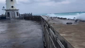 Video: Hàng trăm con cua bị bão thổi bay qua một bức tường chắn sóng