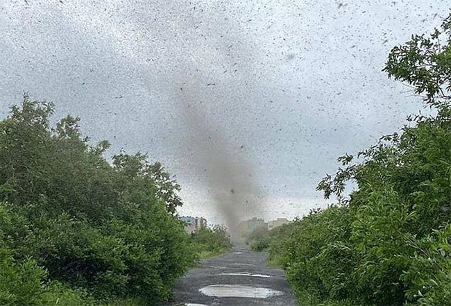 Video: Lốc xoáy muỗi đen kịt bầu trời tại Nga