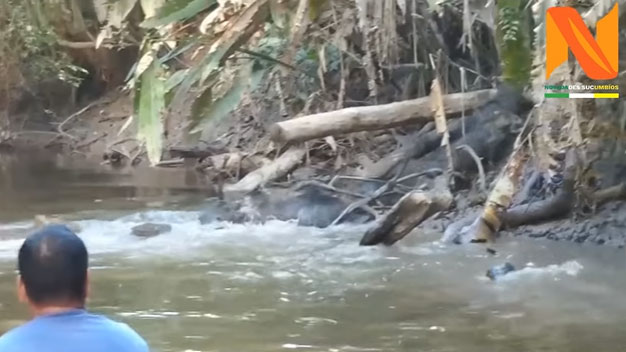 Video: Sinh vật lạ qua sông khiến đoàn thuyền tham quan bất chợt khựng lại giữa rừng Amazon
