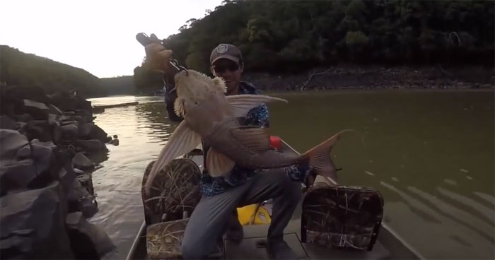 Video: Thả câu dưới sông, người đàn ông bất ngờ kéo lên một sinh vật có khuôn mặt quỷ