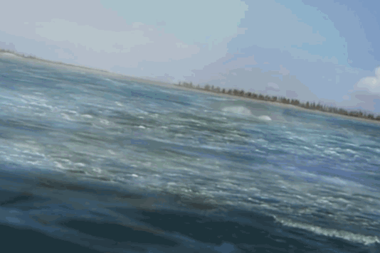 Video: Thủy quái đáng sợ nhất kỷ Jura ra đòn xé nát con mồi trong chớp mắt