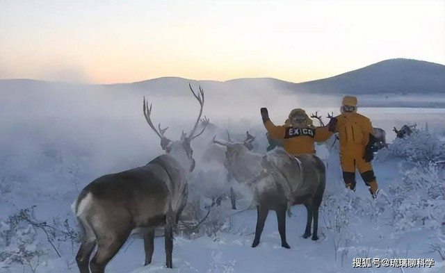 Việc bài tiết trong môi trường âm 70 độ C của mùa đông tại Siberia diễn ra như thế nào?