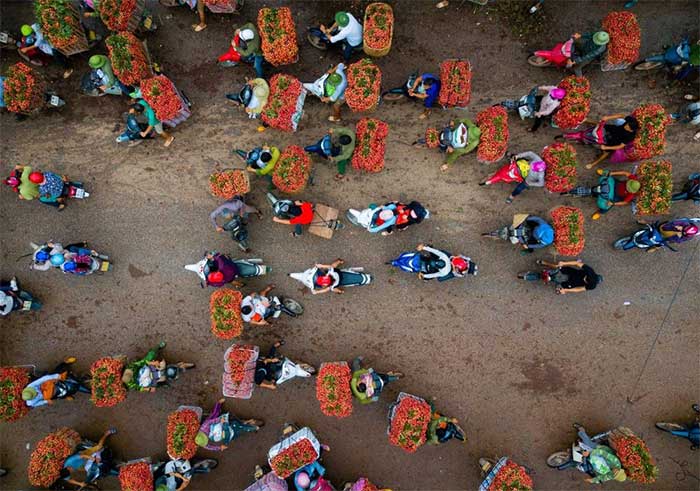 Việt Nam đẹp lạ lùng qua loạt ảnh chụp từ trên cao