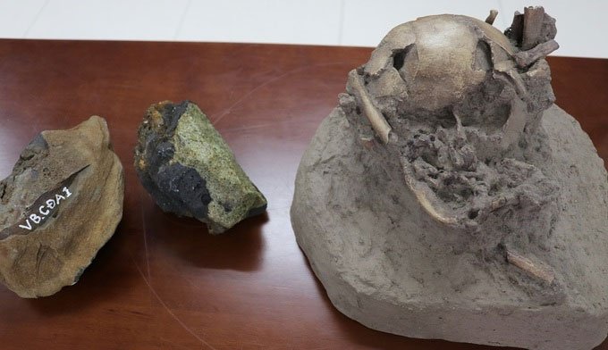 Việt Nam tách chiết thành công ADN xương động vật hơn 6.800 năm