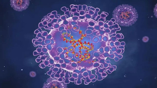 Virus đậu mùa khỉ tiến hóa thần tốc nhanh gấp 12 lần thông thường