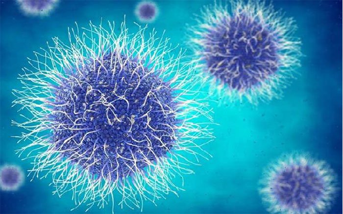 Virus dưới đáy đại dương chứa enzyme có thể trị bệnh viêm phổi