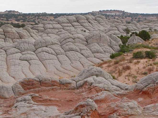 Vùng đá sa thạch kiểu dáng như súp lơ, độc nhất vô nhị tại Mỹ