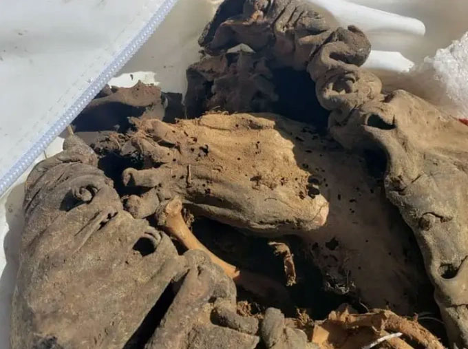 Xác ướp 2000 năm tuổi được tìm thấy ở bãi rác