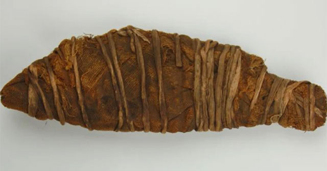 Xác ướp dài 28cm 'nằm im' trong viện bảo tàng, kết quả chụp CT khiến các chuyên gia thích thú: Bây giờ mới rõ bên trong!