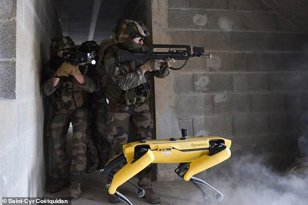Xem chó robot trị giá 1,7 tỷ đồng của quân đội Pháp trổ tài chiến đấu