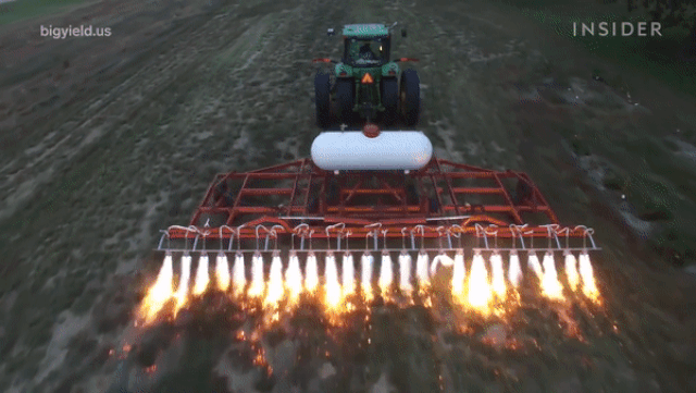 Xem nông dân nước ngoài diệt cỏ dại bằng… máy phun lửa
