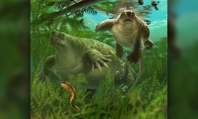 Xương hóa thạch kỷ Permi tiết lộ sinh vật tiền sử như lai giữa thằn lằn và hà mã