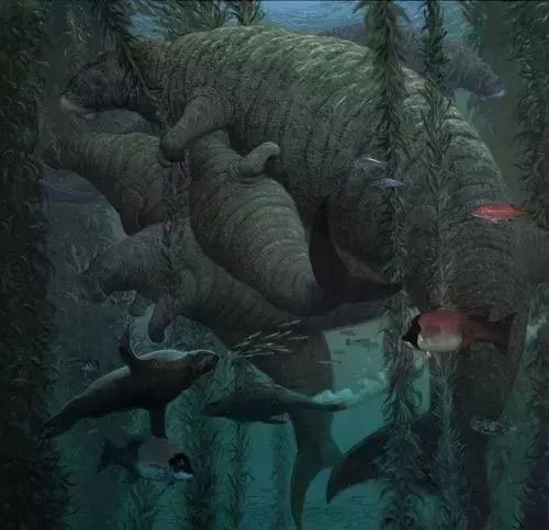 Chỉ mất 27 năm từ khi phát hiện ra đến khi tuyệt chủng, chuyện gì đã xảy ra với con vật khổng lồ này?