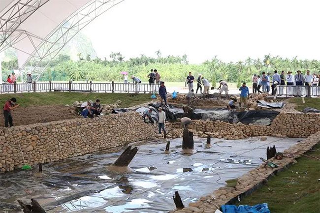 Gần 300 nhà khoa học, khảo cổ tìm hiểu về bãi cọc Bạch Đằng mới được phát hiện