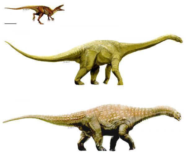 3 hóa thạch mới đưa Úc trở lại bản đồ khủng long
