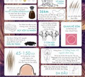 50 Sự thật khó tin về tóc