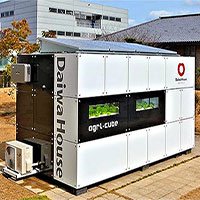 Agri-Cube - Container công nghệ giúp tăng năng suất trồng rau thủy sinh ở thành phố