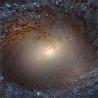 Ảnh chụp cận cảnh thiên hà cách xa 85 triệu năm ánh sáng
