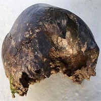 Anh: Đi bắt hàu ngoài biển, phát hiện sọ người 3.000 năm tuổi